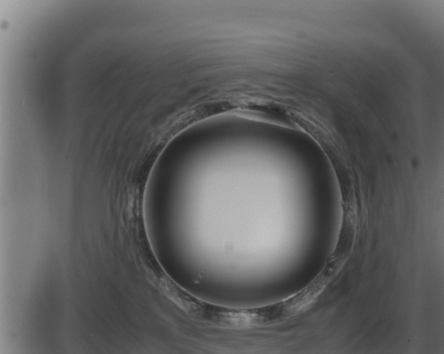 X0000086310233200704091055