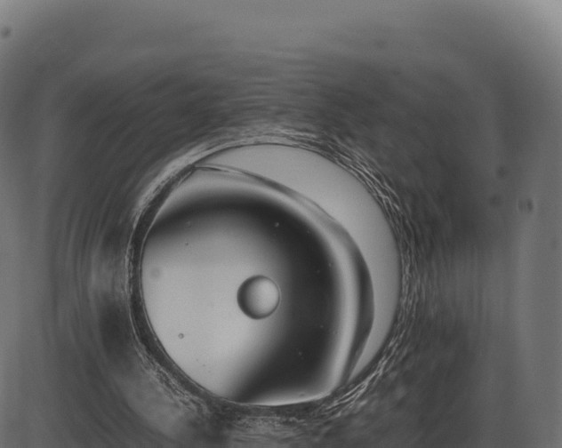 X0000086310244200704091054
