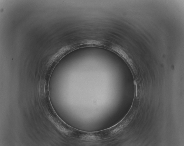 X0000086310253200704091054