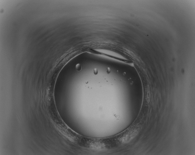 X0000086310258200704091054