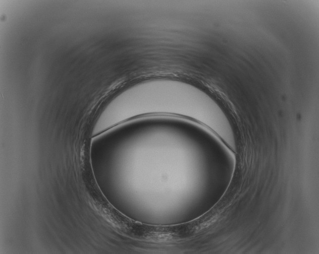 X0000086310260200704091054