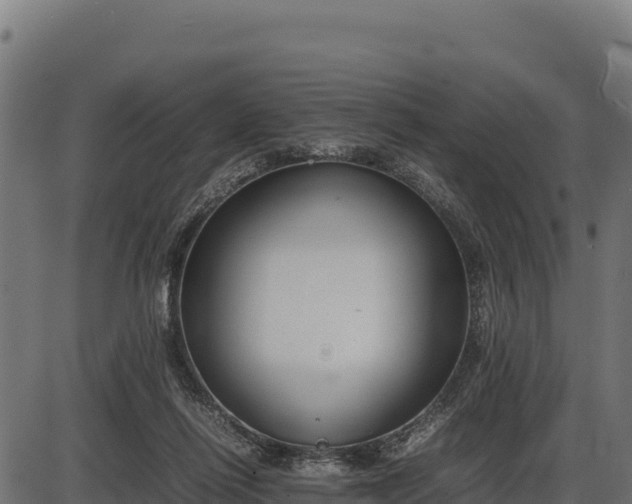 X0000086310262200704091054