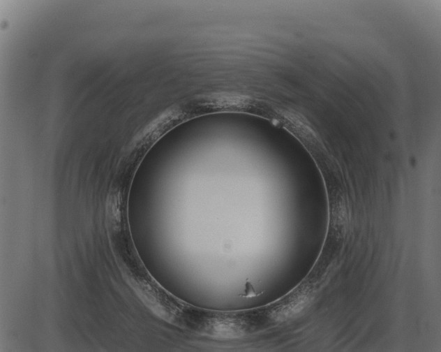 X0000086310264200704091054