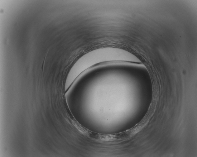 X0000086310288200704091055