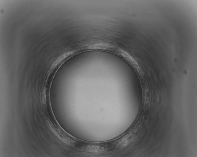 X0000086310298200704091054