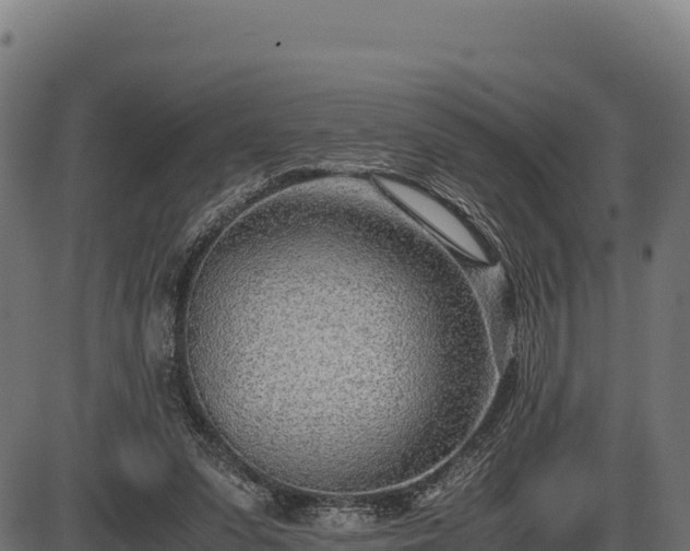 X0000086310303200704091054