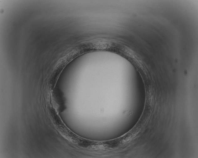 X0000086310307200704091054