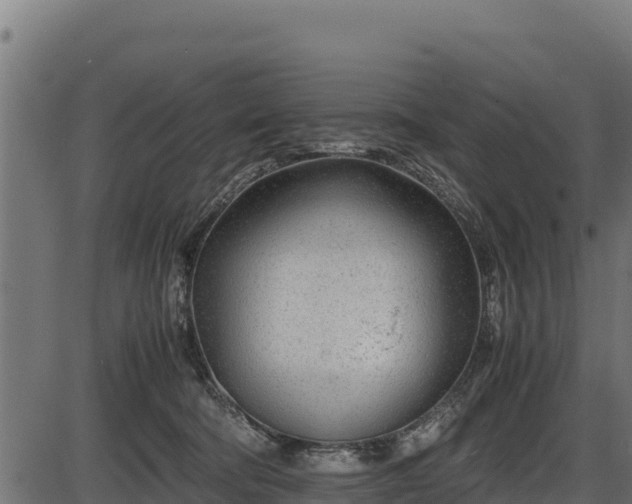 X0000086310322200704091053