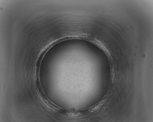 X0000086310346200704091052