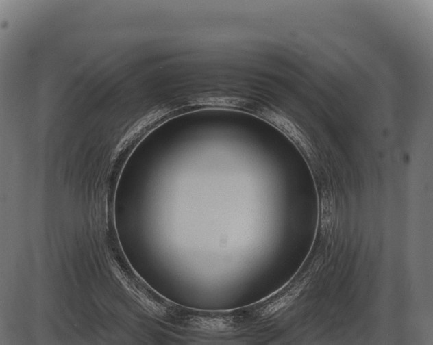 X0000086310349200704091052
