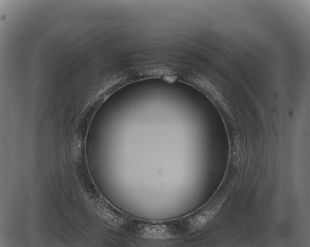 X0000086310355200704091053