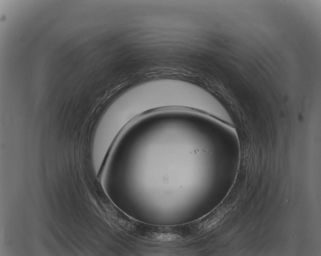X0000086310360200704091053