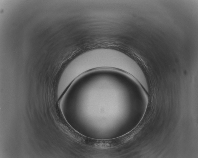 X0000086310362200704091053