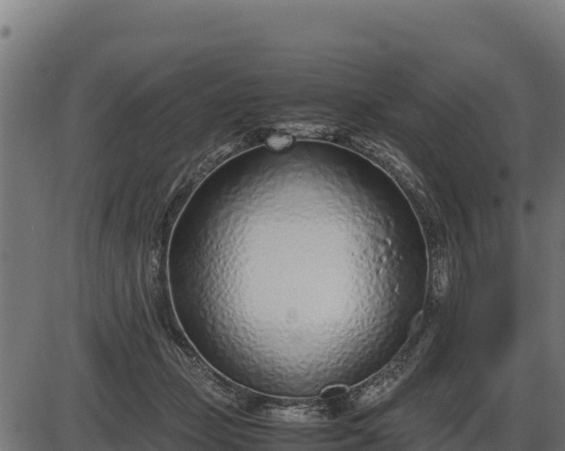 X0000086310365200704091053
