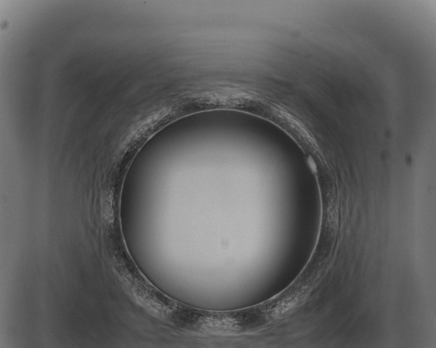 X0000086310403200704091052
