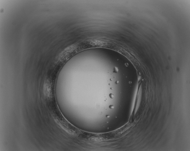 X0000086310408200704091052