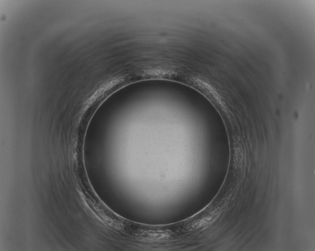 X0000086310443200704091051