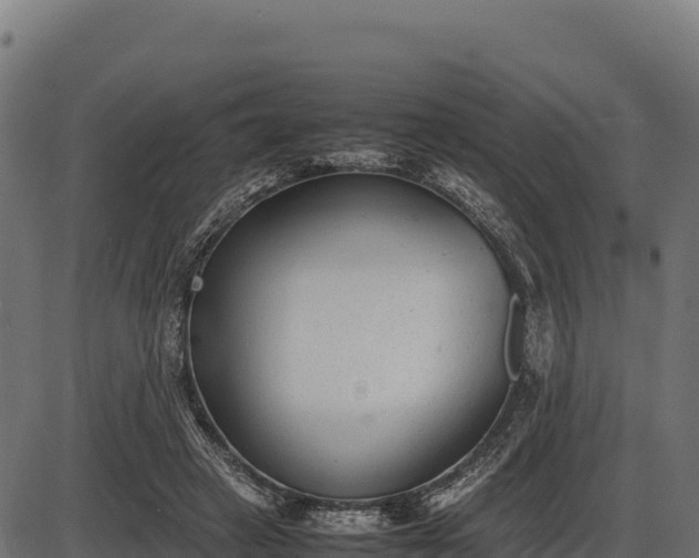 X0000086310449200704091051