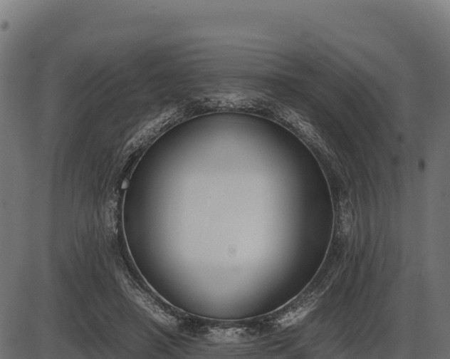 X0000086310450200704091051