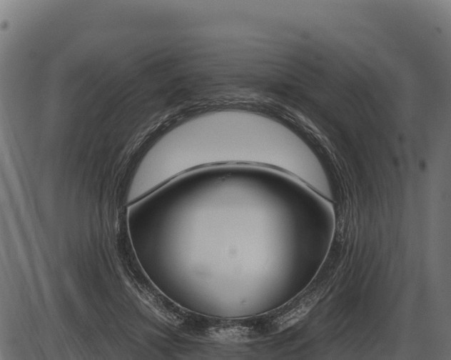 X0000086310452200704091051
