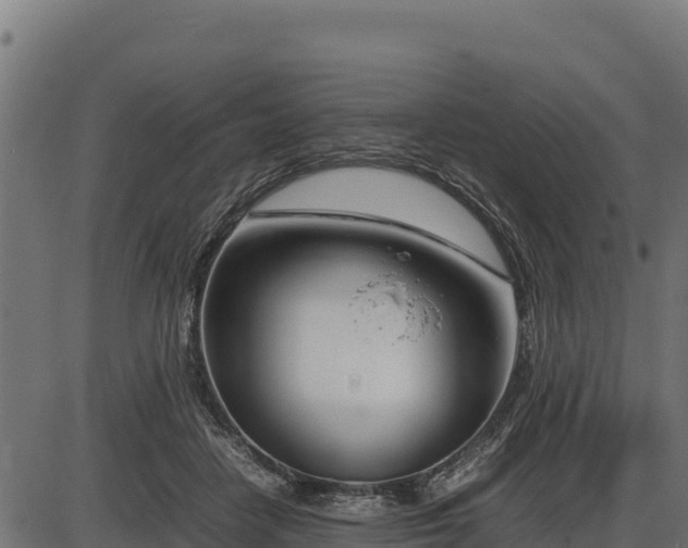 X0000086310458200704091051