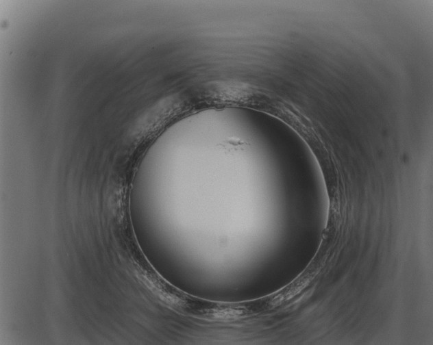 X0000086310462200704091051