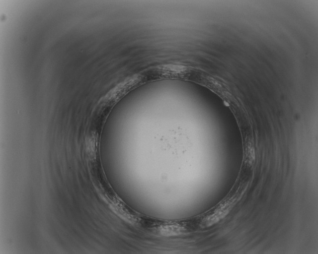 X0000086310468200704091051