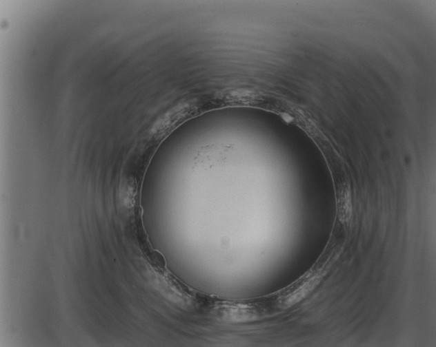 X0000086310472200704091051
