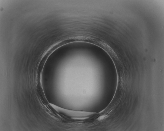 X0000086310484200704091051