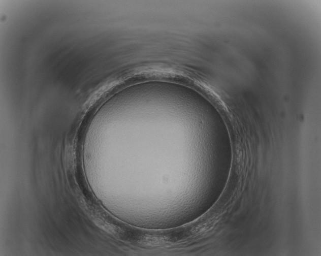 X0000086310487200704091051