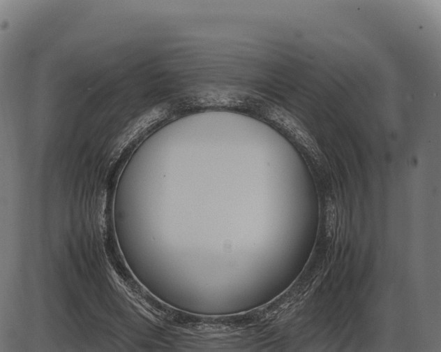 X0000086310490200704091050