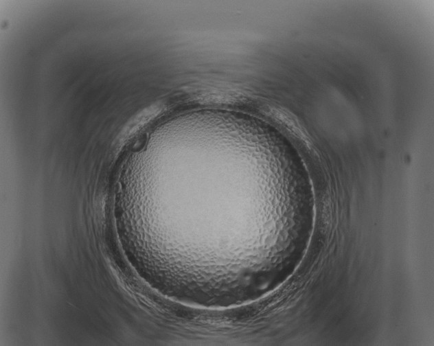 X0000086310491200704091050