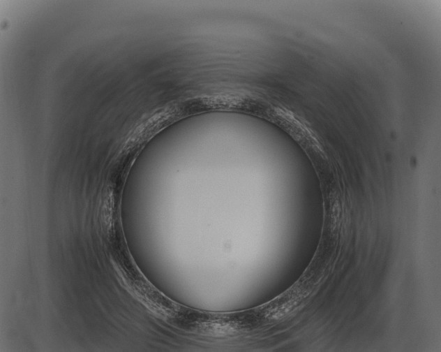 X0000086310498200704091050