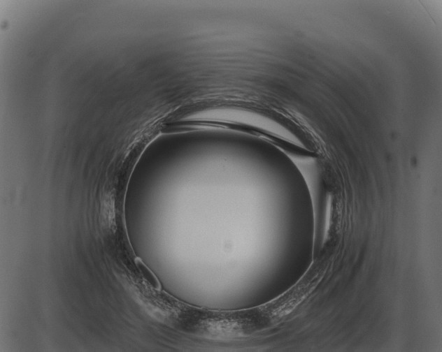 X0000086310500200704091050