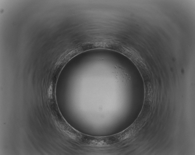 X0000086310502200704091050