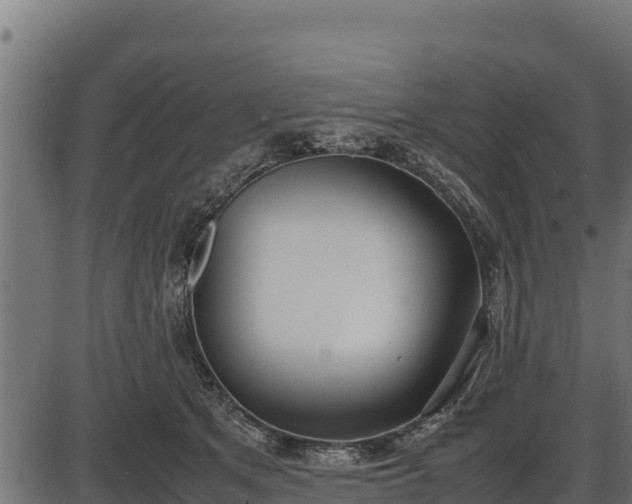 X0000086310513200704091050