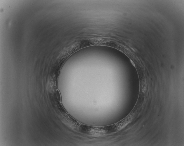 X0000086310515200704091050