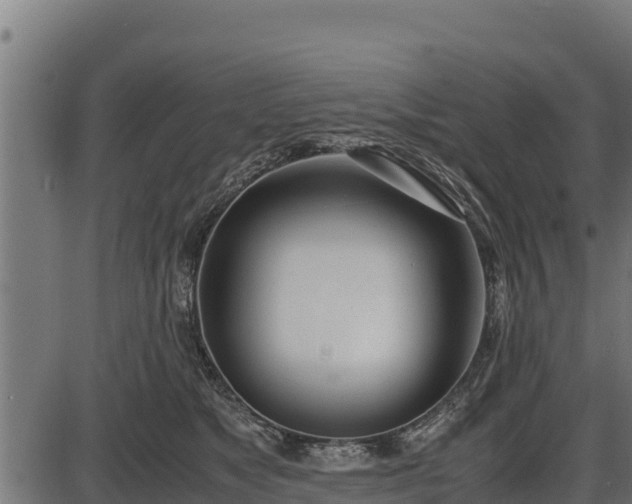 X0000086310517200704091050