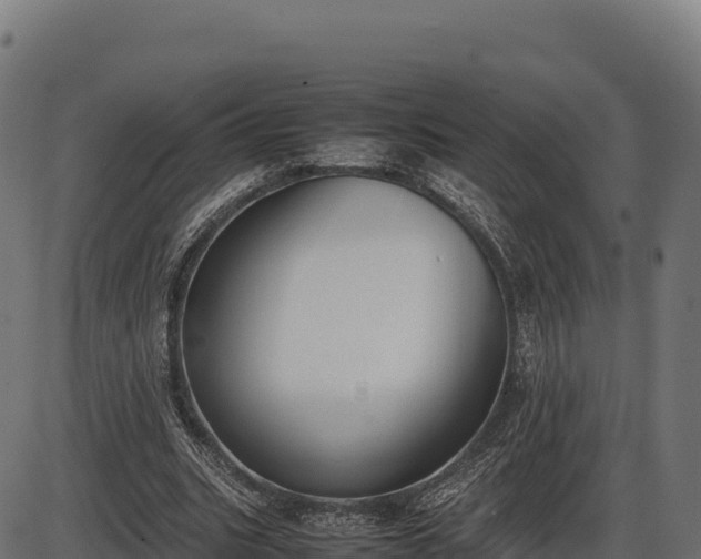 X0000086310535200704091049