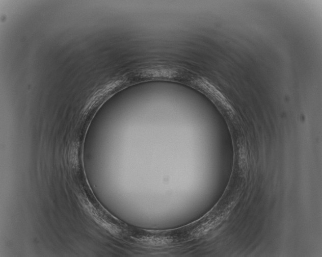 X0000086310537200704091049