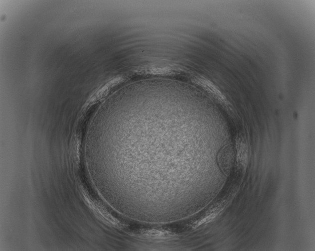 X0000086310542200704091049