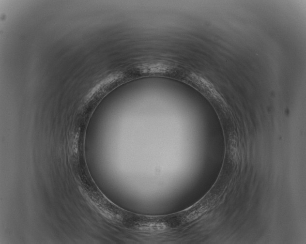 X0000086310543200704091049