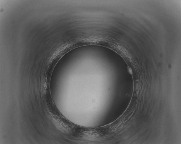 X0000086310544200704091049