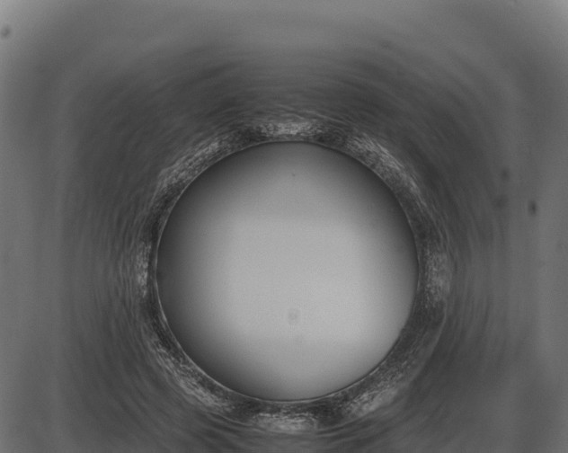 X0000086310545200704091049