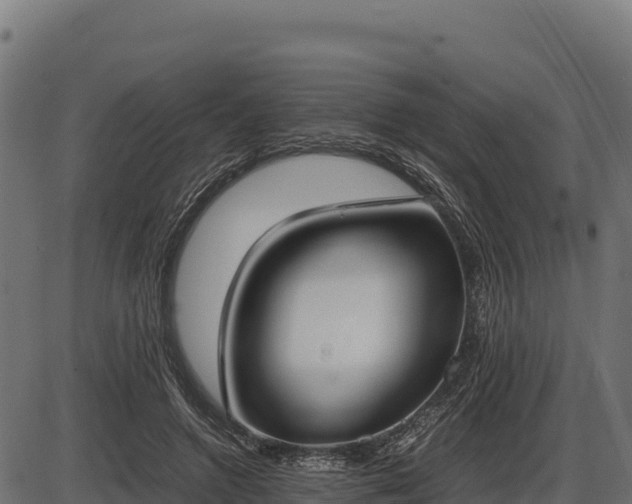 X0000086310546200704091049