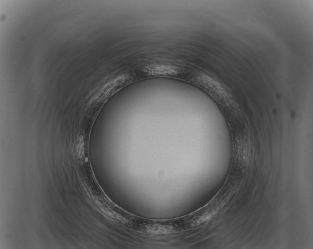X0000086310549200704091049