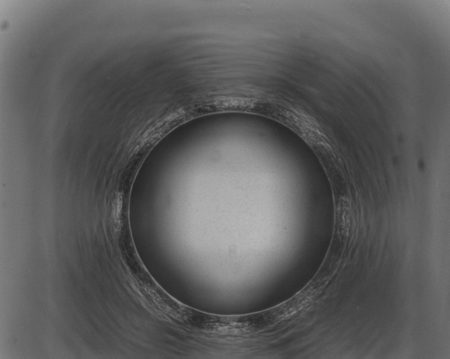 X0000086310550200704091049