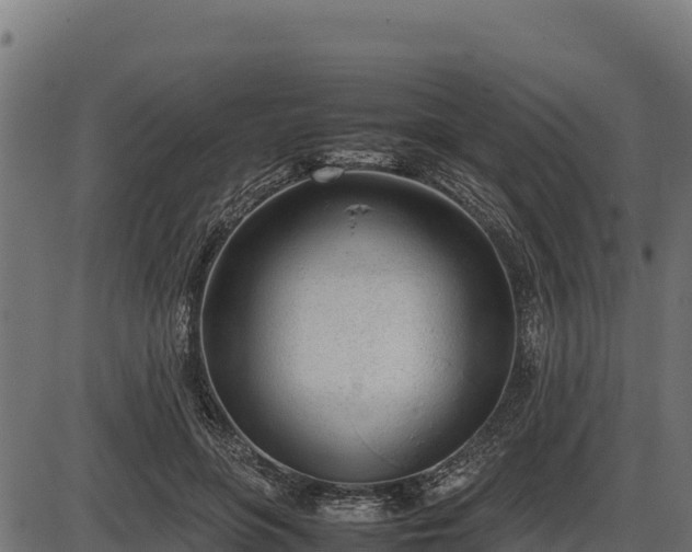 X0000086310551200704091049