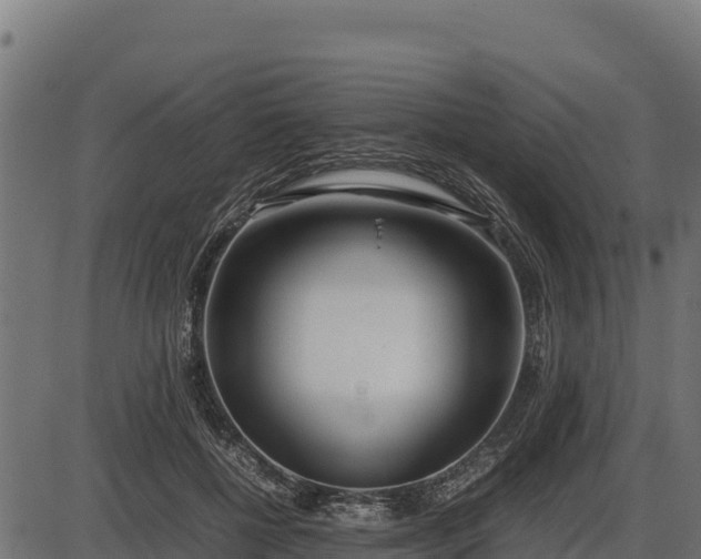 X0000086310552200704091049