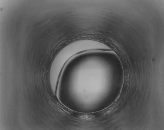 X0000086310558200704091050